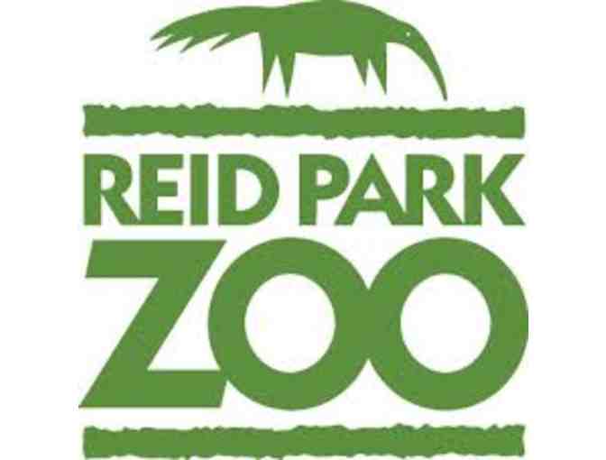 Reid Park Zoo Basket