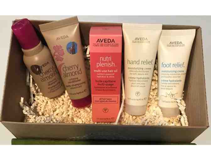 VerVe Salon Lifestyle: $70 gift card and box with 5 travel size Aveda products - Photo 2