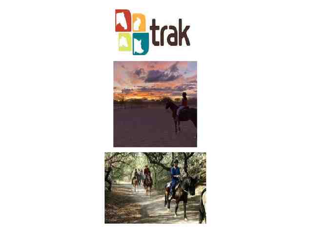 TRAK Ranch: Horseback Ride for Two for 1.5 hours