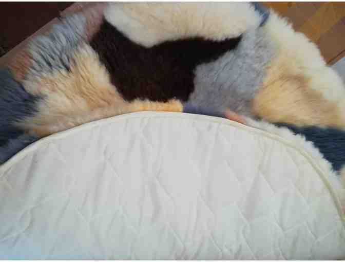 Genuine Sheepskin Rug (2) 52-inch diameter - Photo 4