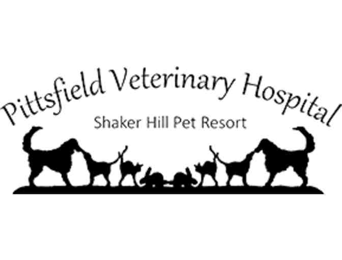 $ 50 Gift Certificate to Shaker Hill Pet Resort Retail Shop