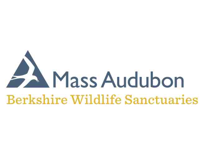 Audubon membership for one year