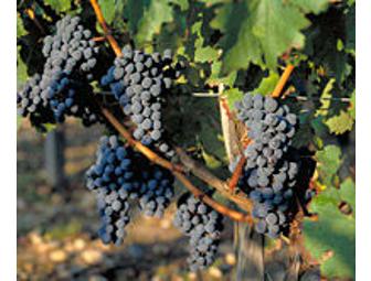 Wine Pairing from Bordeaux Vineyards: 1990 and 1998