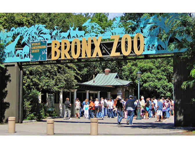 Private Tour of the BRONX ZOO