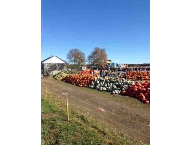 Week for 4 in a Beautiful Quebec City Apartment