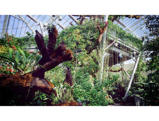 4 Guest Passes to the Cleveland Botanical Gardens