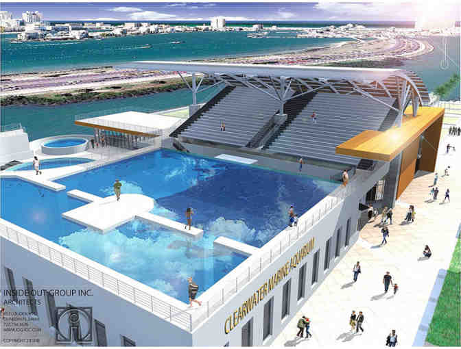 Clearwater Marine Aquarium-Meet Winter Star of a Dolphin Tale -Four (4) Admission Tickets