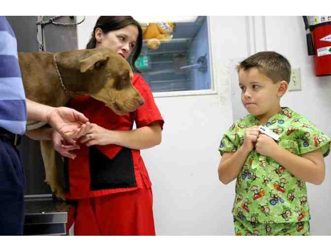 Community Animal Hospital - Be a Vet for a Day