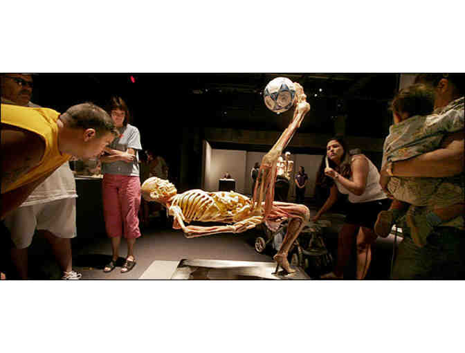 Museum of Science and Industry - Two (2) Free Admissions