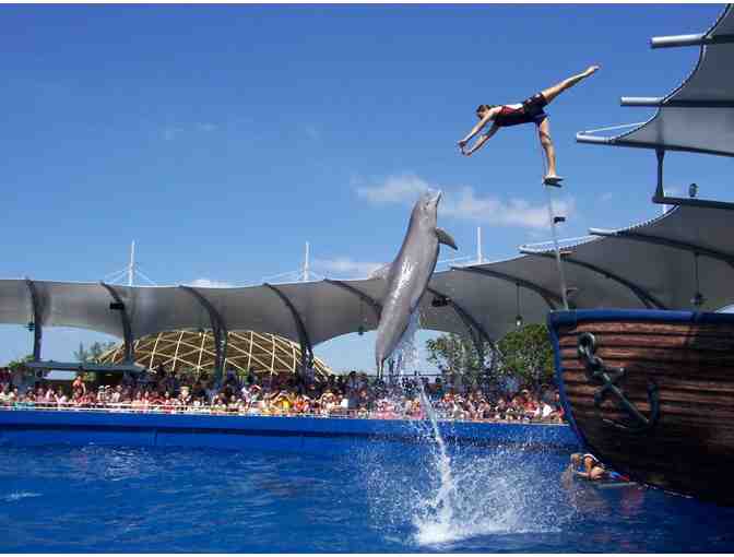 Miami Seaquarium - Four (4) Admission Tickets