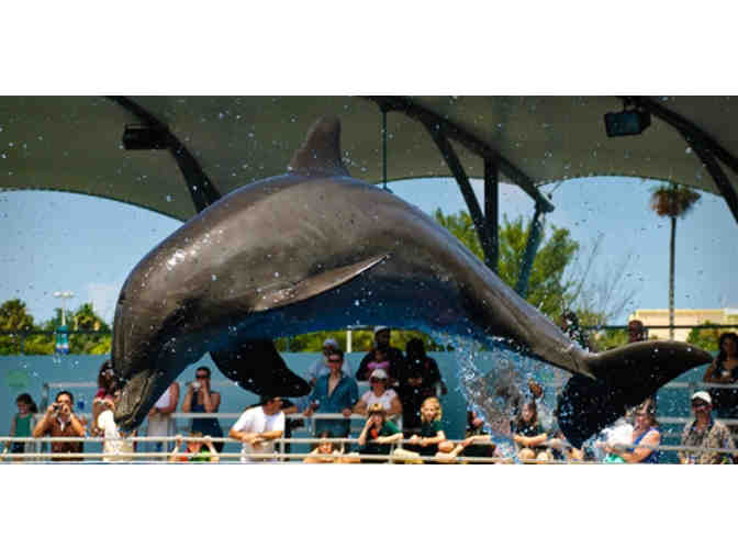 Miami Seaquarium - Four (4) Admission Tickets