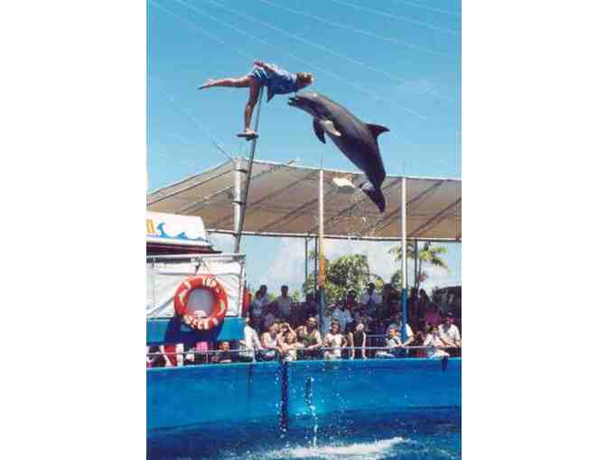 Miami Seaquarium - Four (4) Admission Tickets