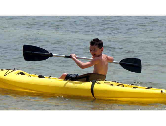 Sailboards Miami - Kayak Vizcaya's Hidden Mangrove Estuary