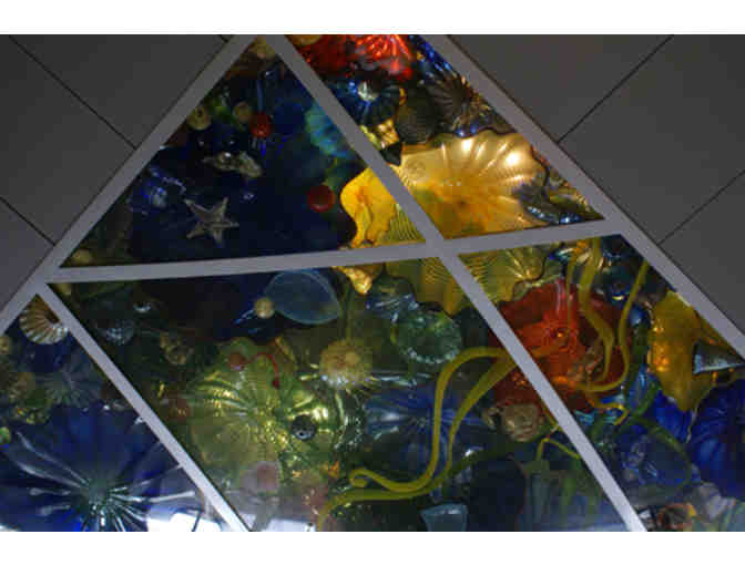 Norton Museum of Art - Four (4) Guest Passes