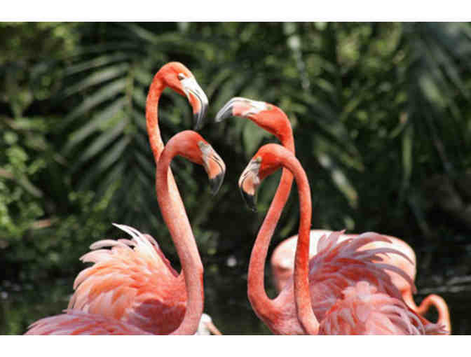 Flamingo Gardens - Two (2) Admission Passes