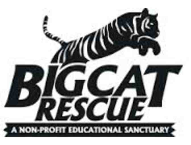 Big Cat Rescue - Four (4) Tour Passes