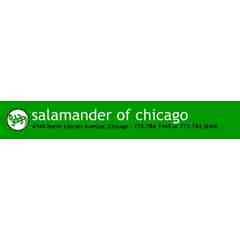 Salamander of Chicago