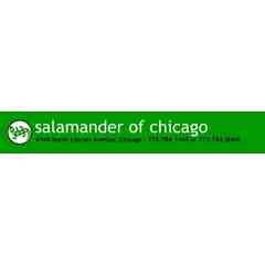 Salamander of Chicago