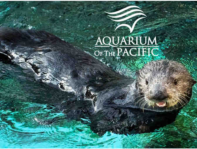 The Aquarium of the Pacific - 2 Tickets and 2 In-and-Out Gift Cards - Photo 1