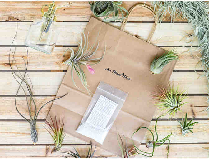 Air plant grab bag and a $50 gift card from 'Airplant Shop'