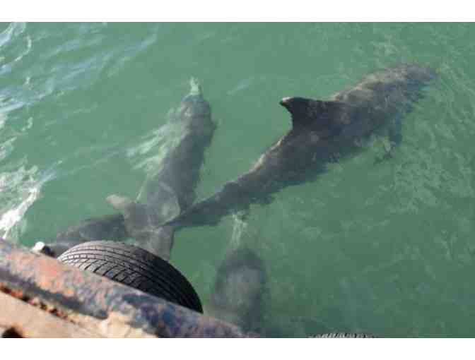 3 day, 2 night Houseboat Adventure for up to 10 Guests, and Gourmet Hamper