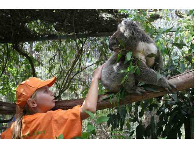 3 day, 2 night Houseboat Adventure for up to 10 Guests, and Gourmet Hamper