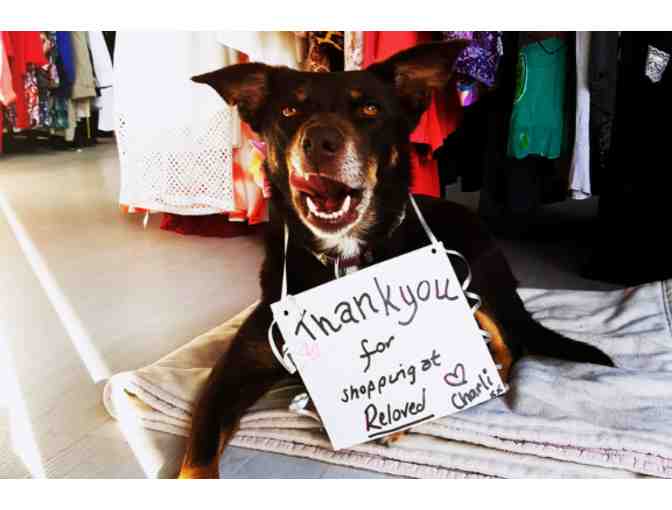 Festive Fashion Shopping Pack