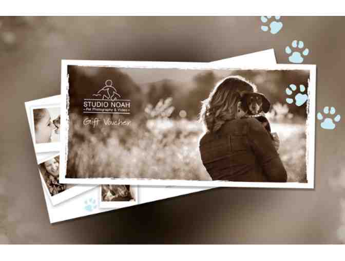 Pet Photography Session