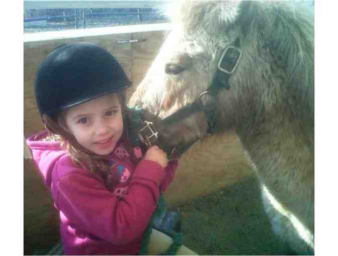 The Ultimate Kids Package - Fencing and Horseback Riding!