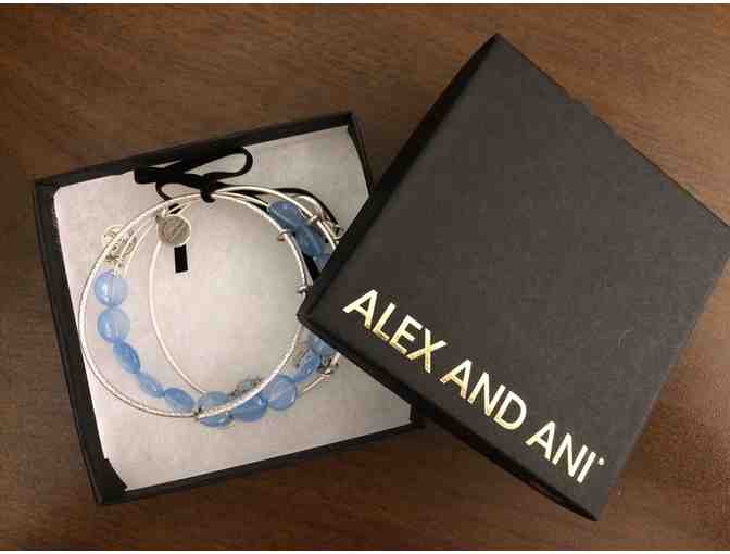 Alex and Ani: Exclusive Set of Bangles