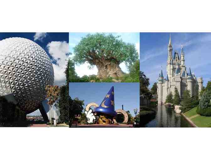 'Where Dreams Come True' - Walt Disney World One-Day Park Hopper Tickets