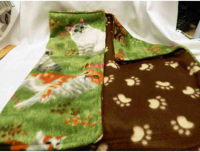Catnip Blanket your furs will love