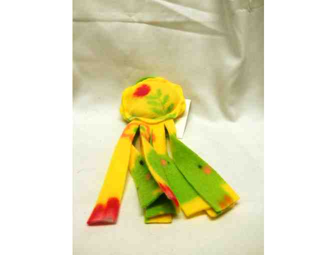 Catnip Blanket & catnip toy