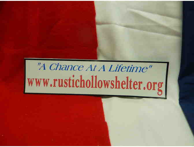 Sponsor a special feline for up to six months with winning bid on this magnet