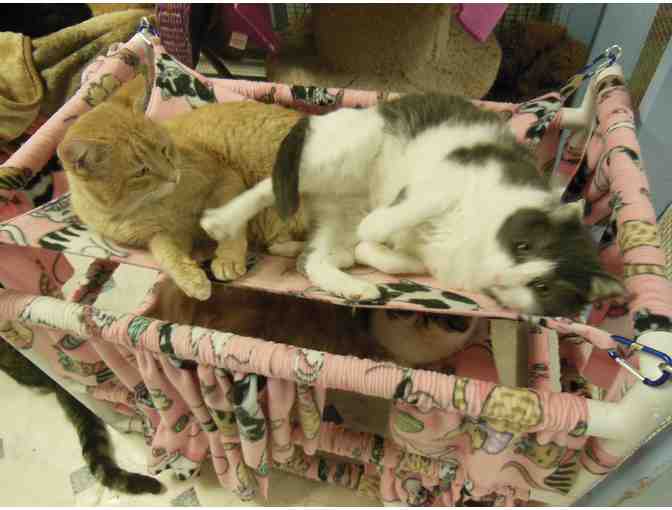 Kitty bunk bed with hammocks (see 2nd & 3rd pictures for NEW bed on auction)