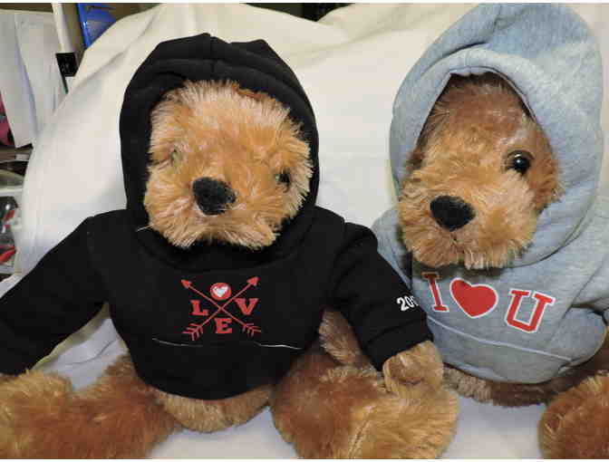 2 more NEW cuddle bears with hoodies looking for a home