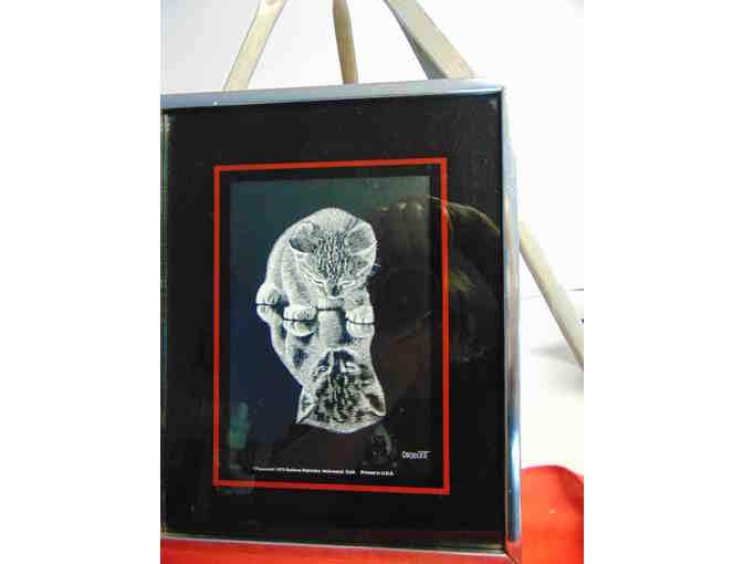 1975 Mirror Image Kitty by Drogwell