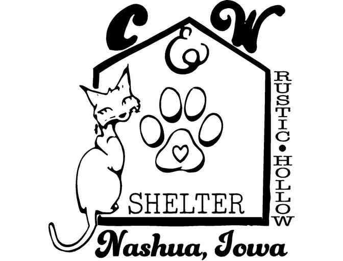 Bright Pink New Logo Rustic Hollow T-shirt LARGE