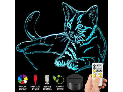 3D Lamp Illusion Cat