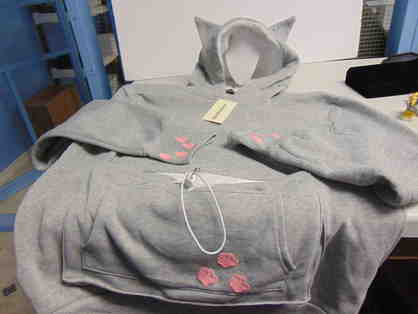 Hooded Sweatshirt with Front Pocket to Carry Small Pets