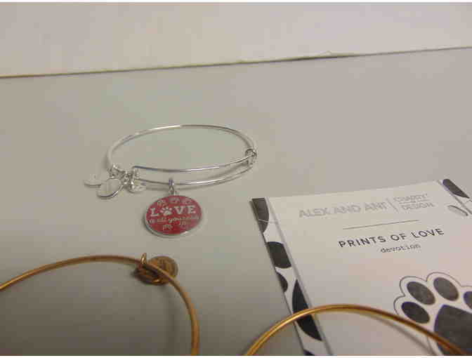 Alex and Ani Expandable Bracelet grouping