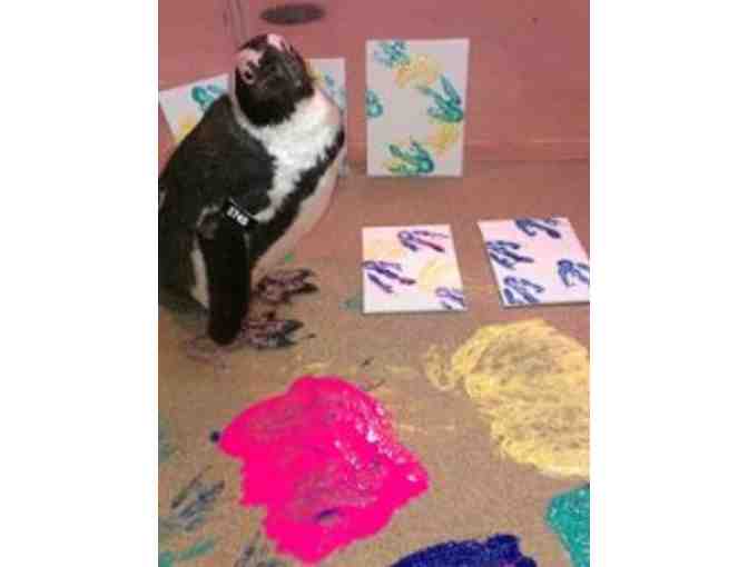 Newport Aquarium Tickets and Gift Basket