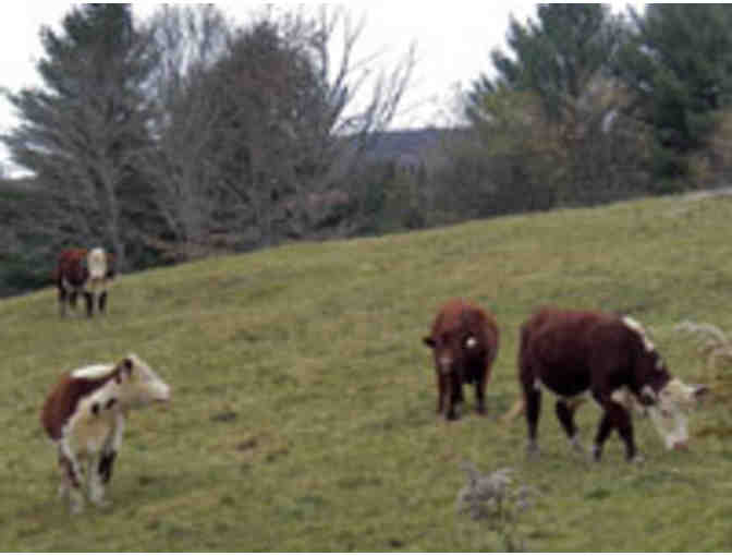 10 lbs of Grass Fed Beef from Shrewsbury, VT