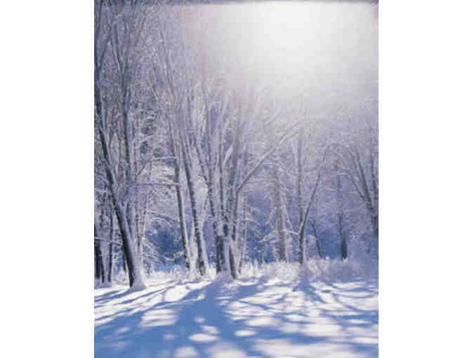 Relaxing Weekend Away in Scenic Tinmouth, VT