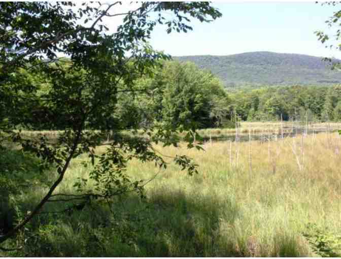 Relaxing Weekend Away in Scenic Tinmouth, VT