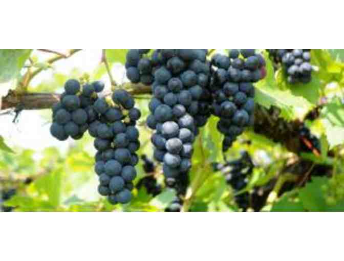 Lincoln Peak Vineyard - $60 Gift Certificate