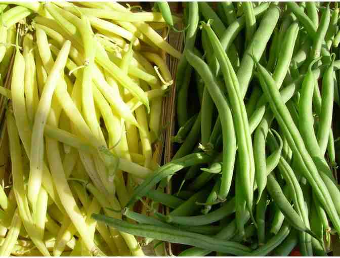 EVENT ONLY: Radical Roots Farm - CSA Share