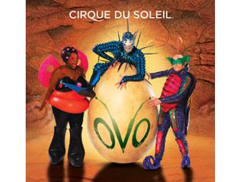 A Four Pack of Tickets to Cirque Du Soleil's OVO (I)