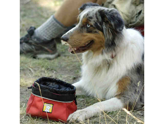 Dog on the Go Package