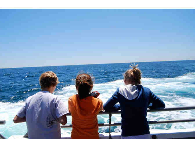 Boston Harbor Cruise Whale Watch for Two